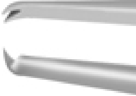 Fixation Forceps